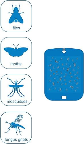 Miniatura 5 de Dichroma Paquete de 8 cartuchos de repuesto para luz azul enchufable, para luz madre, compatible con trampa de luz de insectos voladores Raid