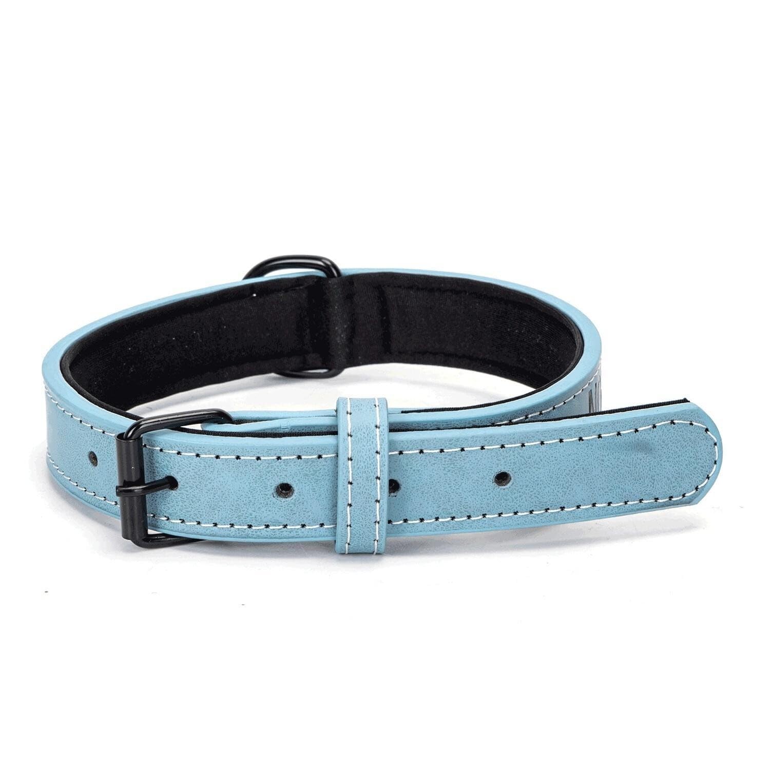 Patapalooza Durable, adjustable and lightweight PU dog collar, ideal for training and safe walks.