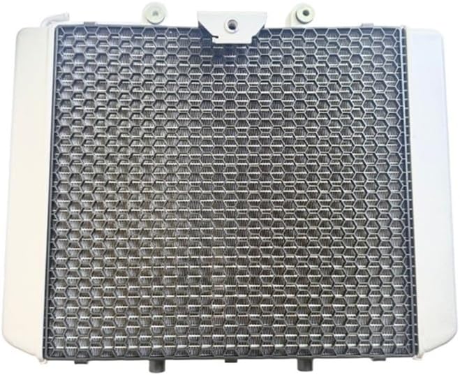 Radiator Tank Suitable For X8 X10 800 1000 CF800AU CF1000AU ATV Quad 9AY0-181100 9AY0-181100-00001