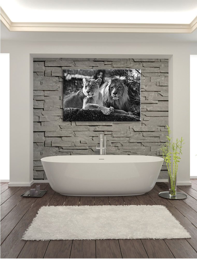 Pixxprint interessiertes Löwenpaar Kunst B&W, Größe: 120x80cm, Leinwandbild, fertig gespannt, Wandbild, Dekoration, Kunstdruck, kein Poster