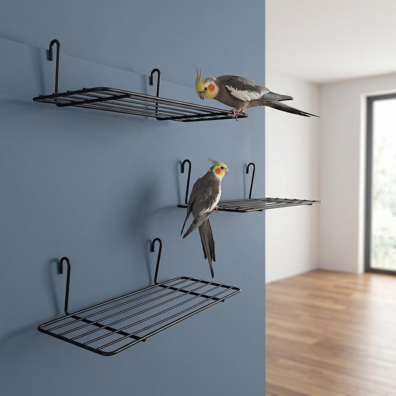 Mipcase 3 Stück Gitter Eisen Wandregal 9.84X5.91In Robustes Metall Vogelbarsch Sitzbrett Für Papagei Wellensittich Hängende Wanddekoration Haustier Zubehör