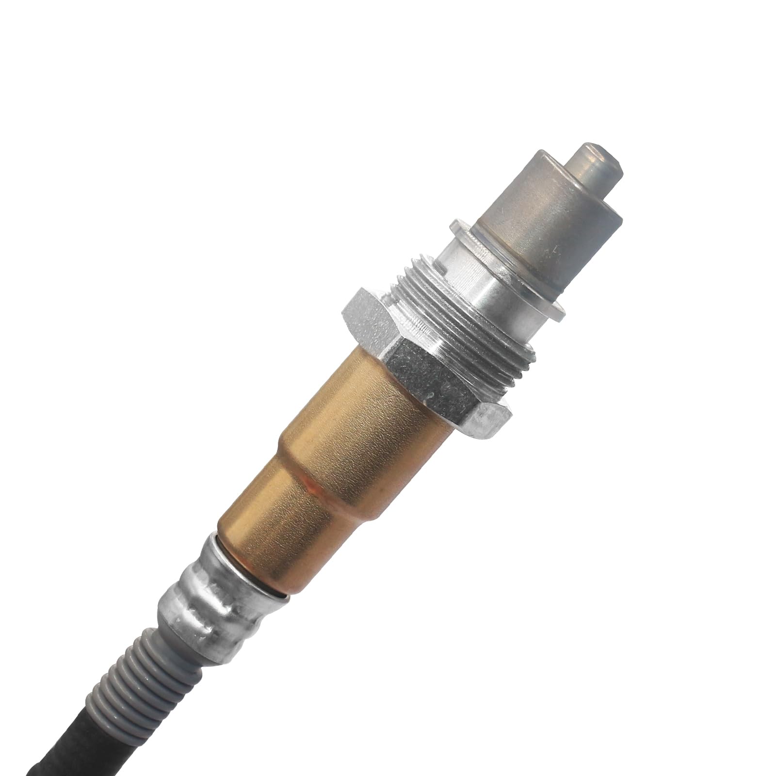 Amazon.com: GC3Z-5L239-A GC3Z5L239A Diesel Particulate Sensor
