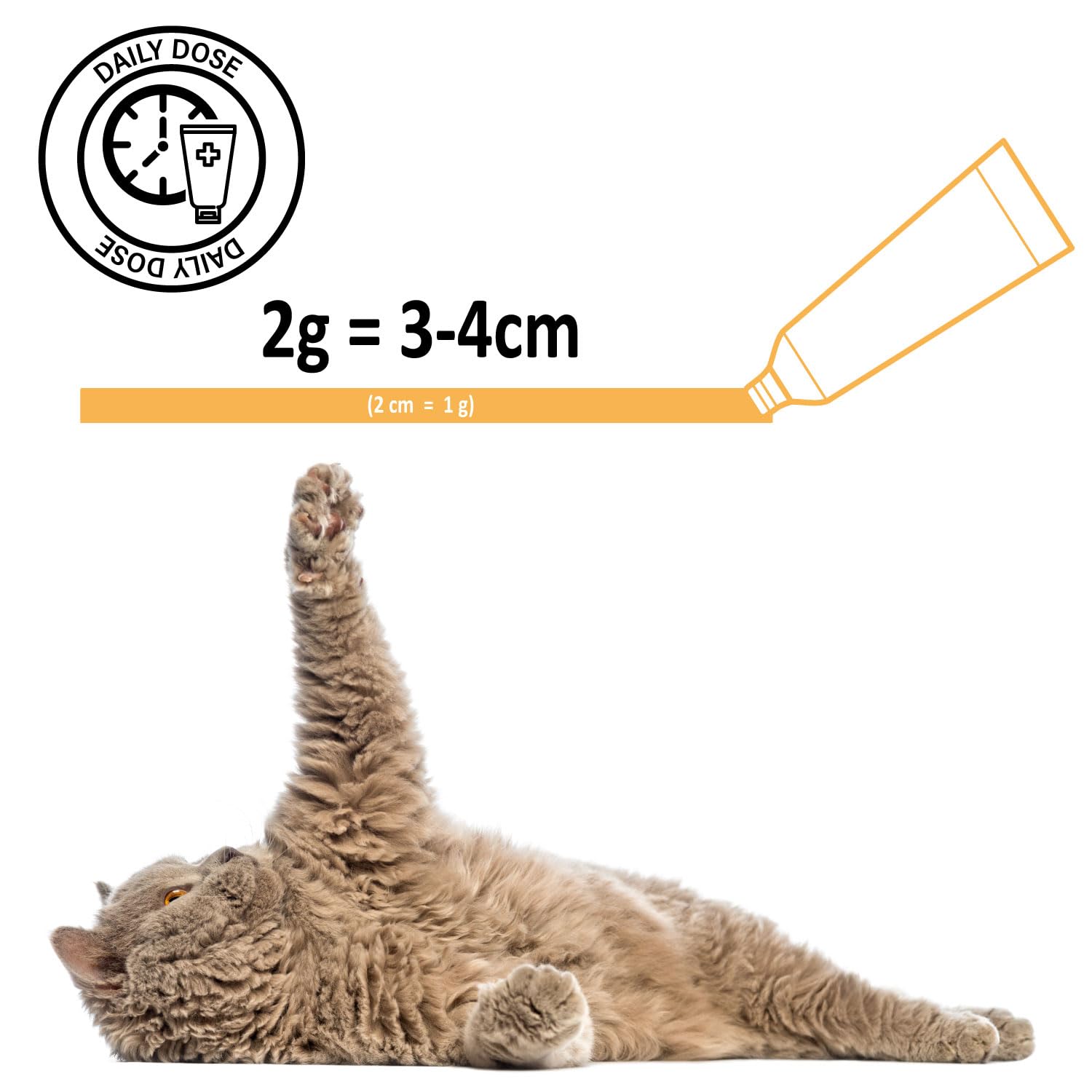 Pasta multivitamínica para gatos de 100 g – Suplemento nutricional para gatos contra bolas de pelo, con ácidos grasos omega, vitaminas A/C/E, para cuidado y digestión