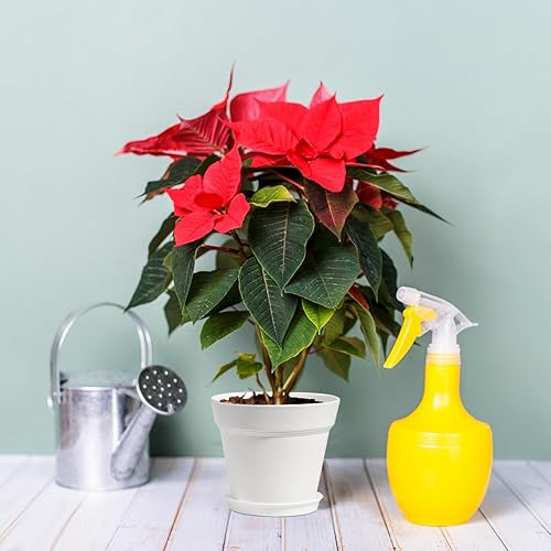 Miniatura 6 de Macetas grandes de plástico con bandeja y agujeros de drenaje, decoración moderna del hogar para plantas de interior y exterior, suculentas y