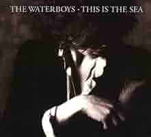 Amazon.co.jp: This Is The Sea: Collectors Edition: ミュージック