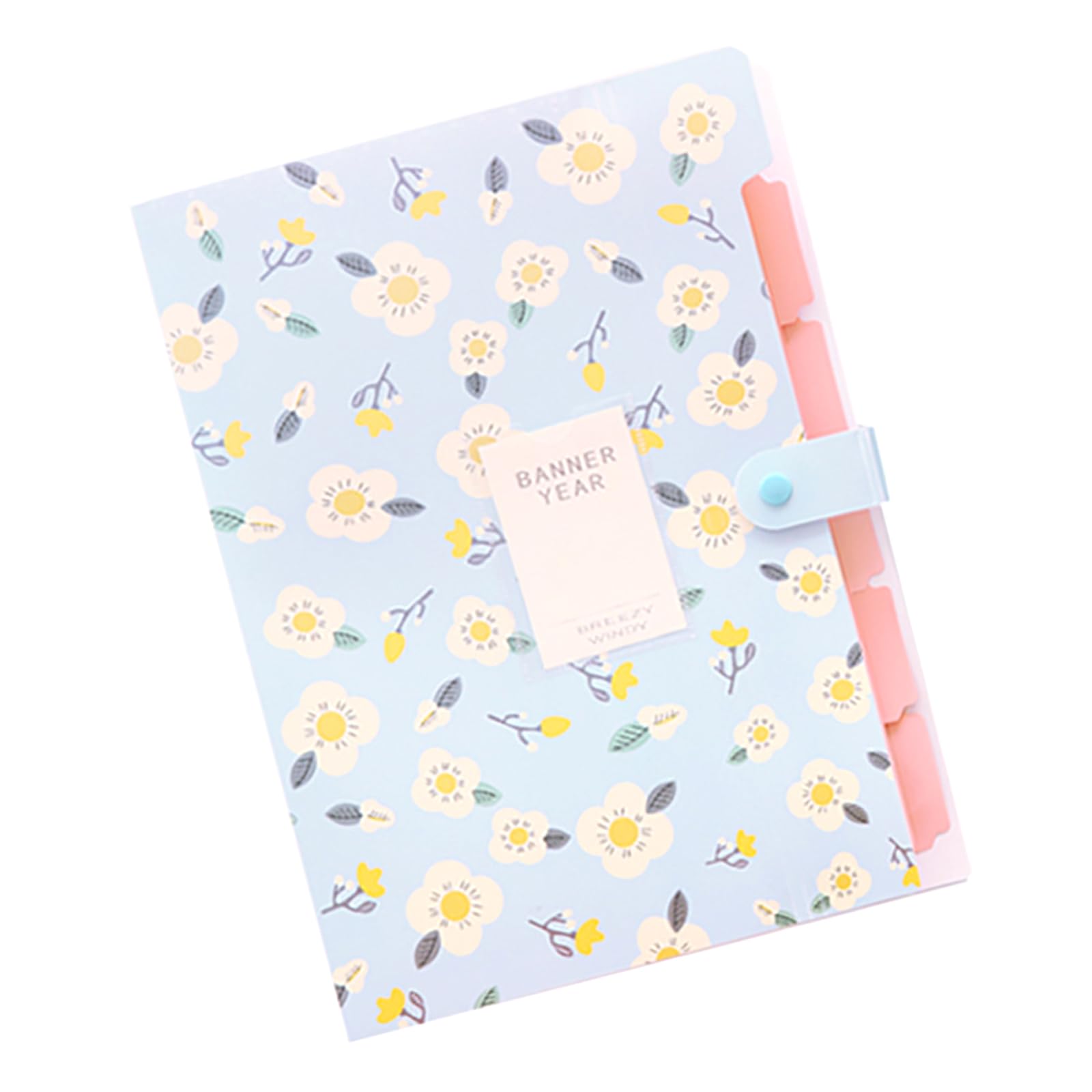 Jazuaiao Print File Folder 6 Pockets Expanding Document Organiser Sorting Folder Letter Size for School Supplies PP File Classification Folders