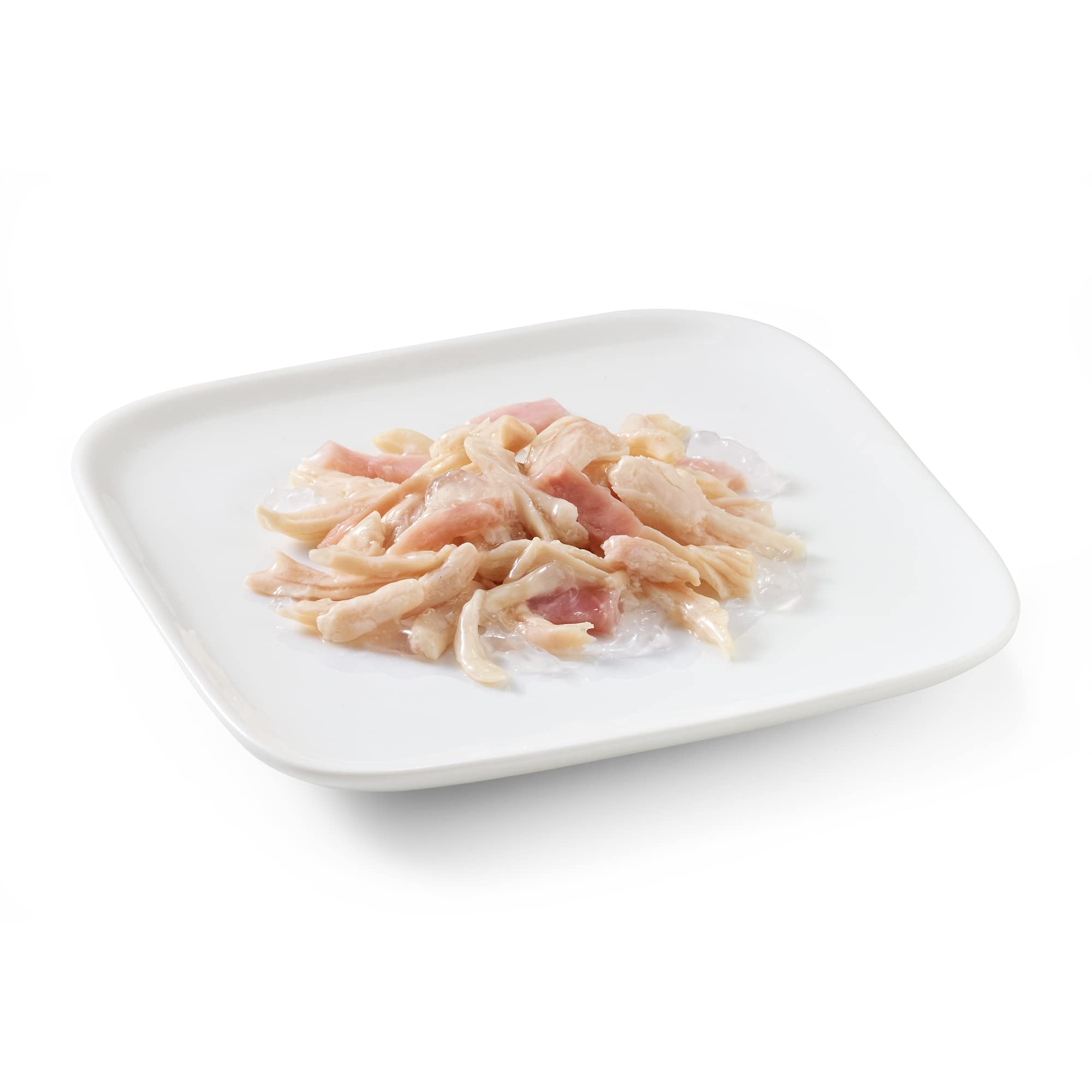 Schesir Filet de Poulet à la Dinde pour Chien - Nourriture Humide - 6 x 4 boîtes x 85 g