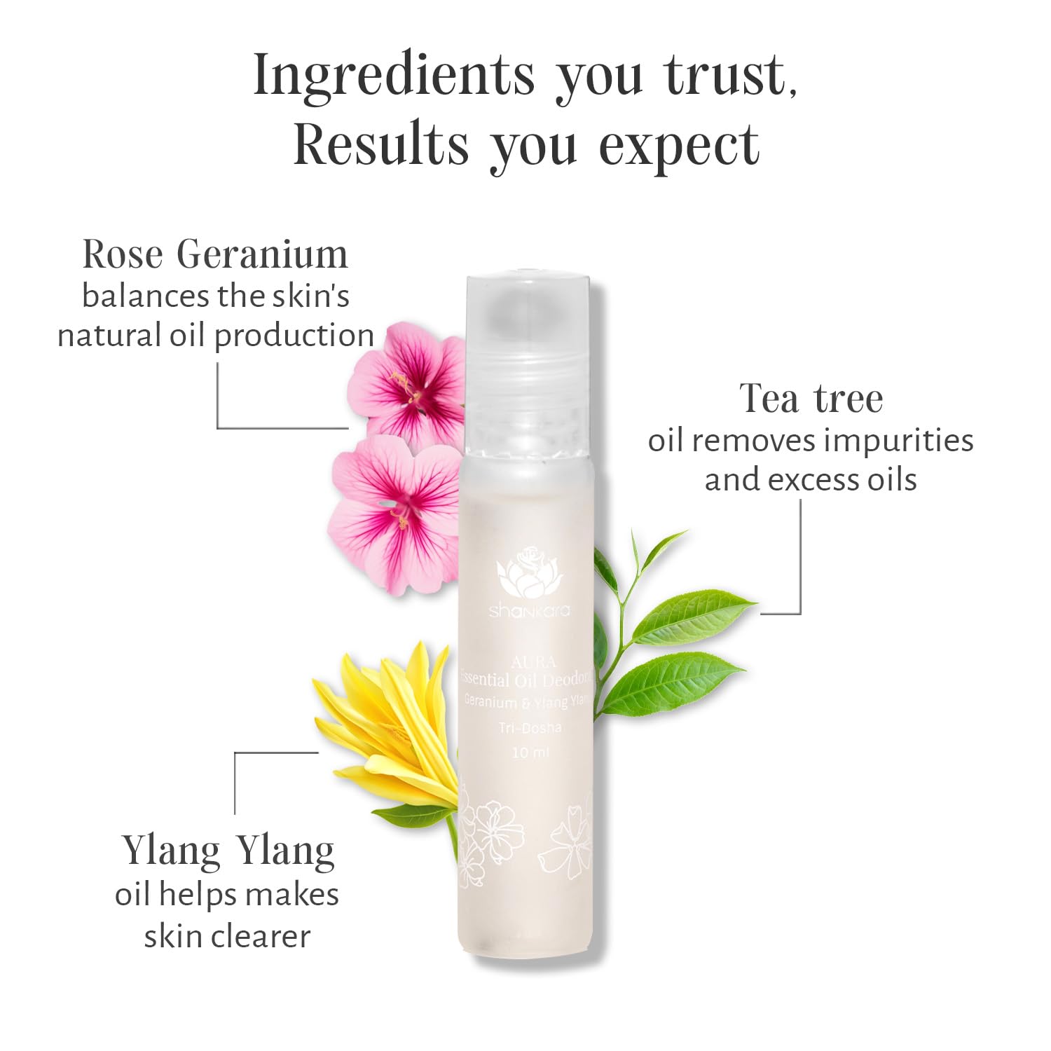 Shankara Aura Roll-On Oil Deodorant for Men and Women, with Pure Essential Oils Geranium and Ylang Ylang, Suitable for All Skin Types - Chemical-Free, Alcohol-Free Natural Aromatherapy Fragrance for Long-Lasting Freshness (10ml) 1