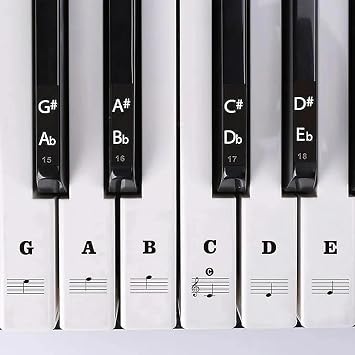 Piano Keyboard Stickers, Removable Piano Keyboard Note Labels, No Need Stickers Piano Notes, 88-Key Full Size, for Beginners, White