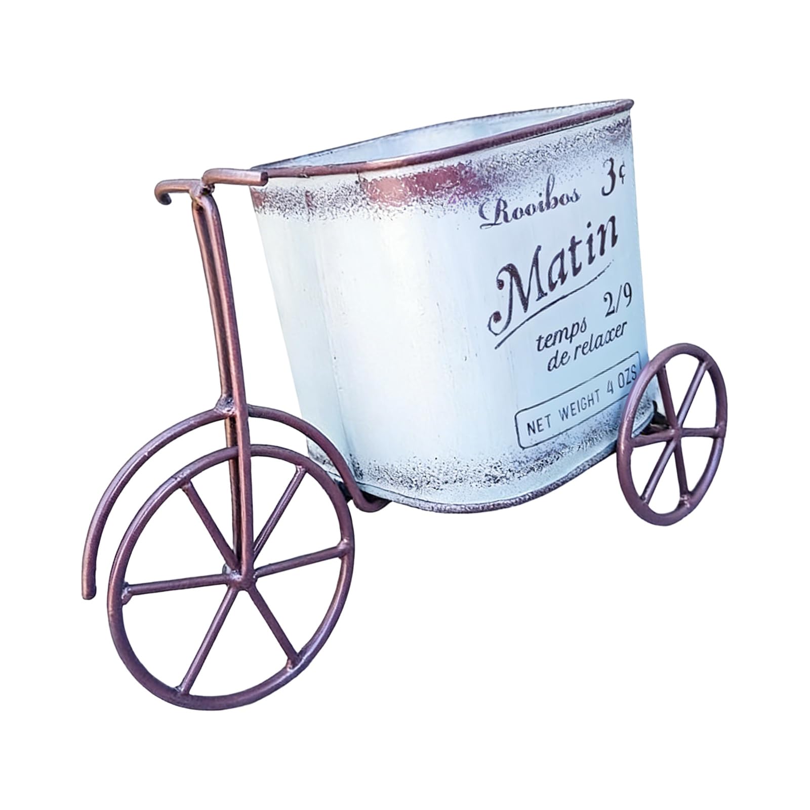 Msioytog Unique Metal Bicycles Lovely Flowers Pots Artistic Cycling Theme Flowers Bucket for Lawns and Backyard Portables Container