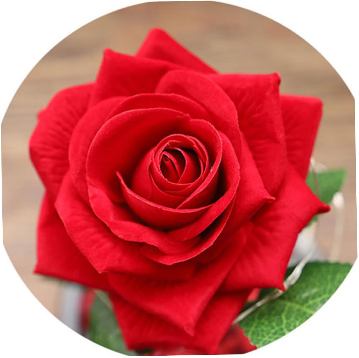 Glass Cover Led Rose Lantern Perfect Romantic Present for Girlfriend Decorative Home Ornament