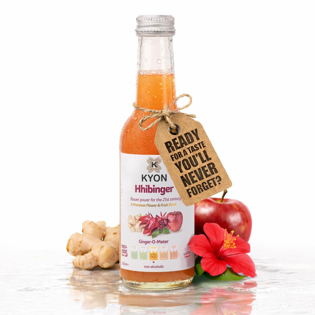 Napój Kyon Ppinger – 250 ml Sok imbirowy z jabłkiem, orzeźwiający i bezalkoholowy napój imbirowy, dostępny w opakowaniach po 6, 12 i 24 sztuki (250Ml-24 Pack, Hhibinger)