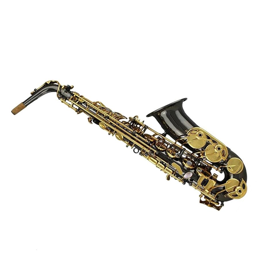 Amazon | サックス 初心者学生プロフェッショナル黒ニッケル