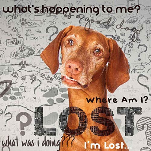 Image of The Blissful Dog Vizsla Age Well Spray Aromatherapy