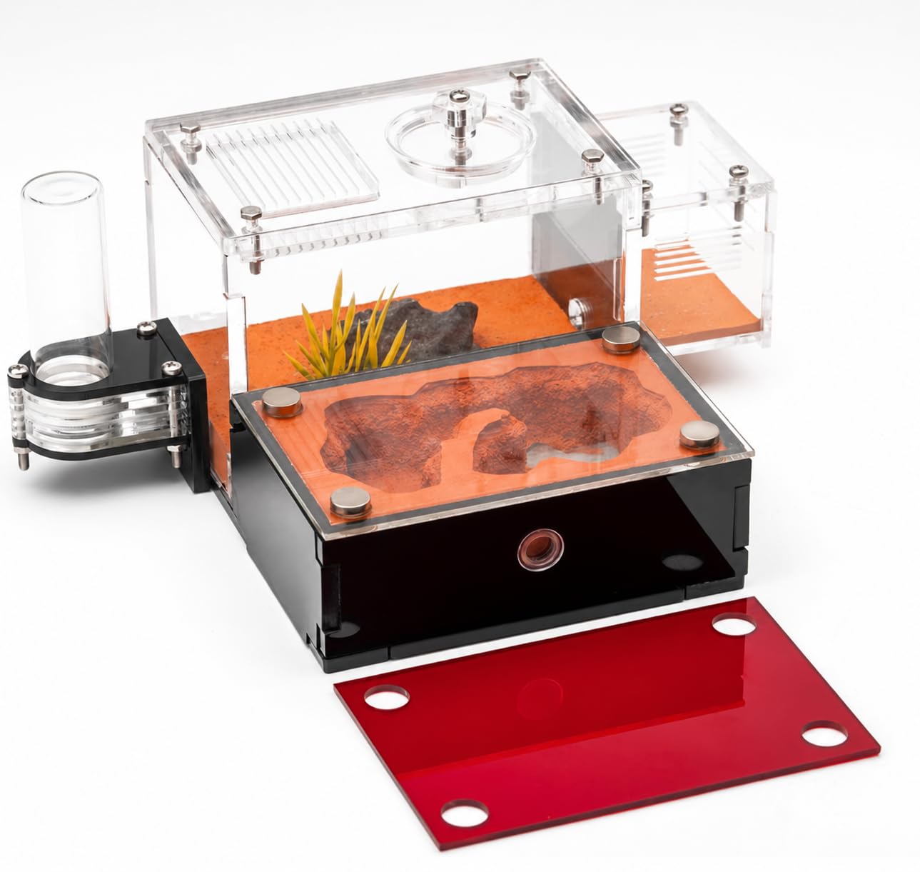 Formicarium – Ameisenfarm Lebensraum für lebende Ameisen & Königin, Erwachsenenpädagogisches Set für Ameisenverhaltensstudien und Lernen