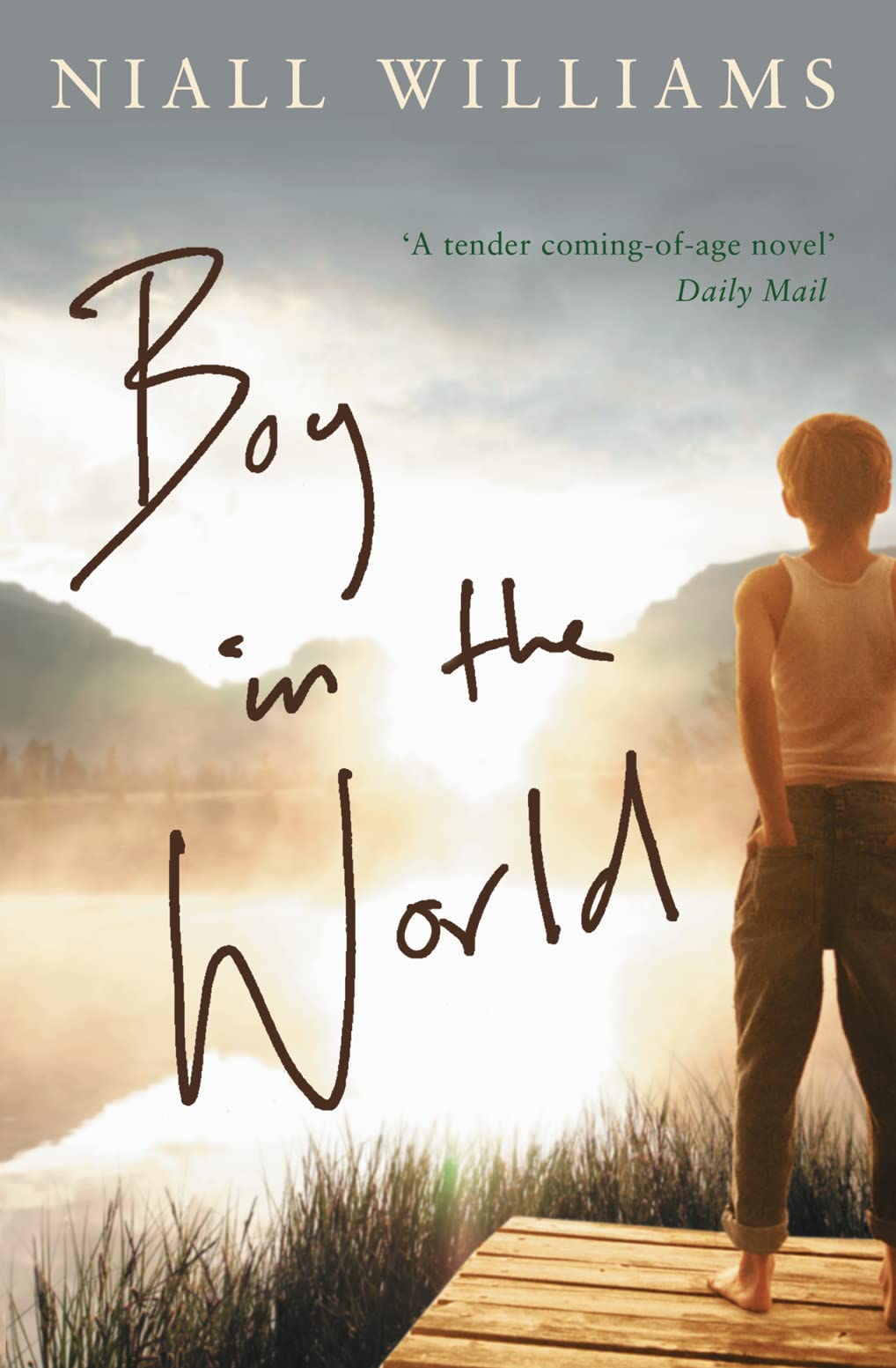 BOY IN THE WORLD: A Gripping Coming-of-Age Mystery Set Between Ireland and London