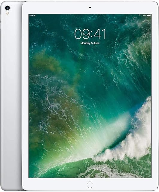 Apple iPad Pro 12.9 2.ª Gen 256GB Wi-Fi Plata Reacondicionado