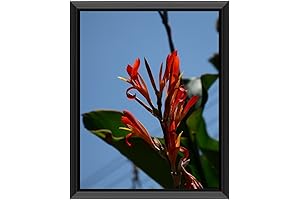 Versatile 11x12 Picture Frame for Displaying Cherished Moments