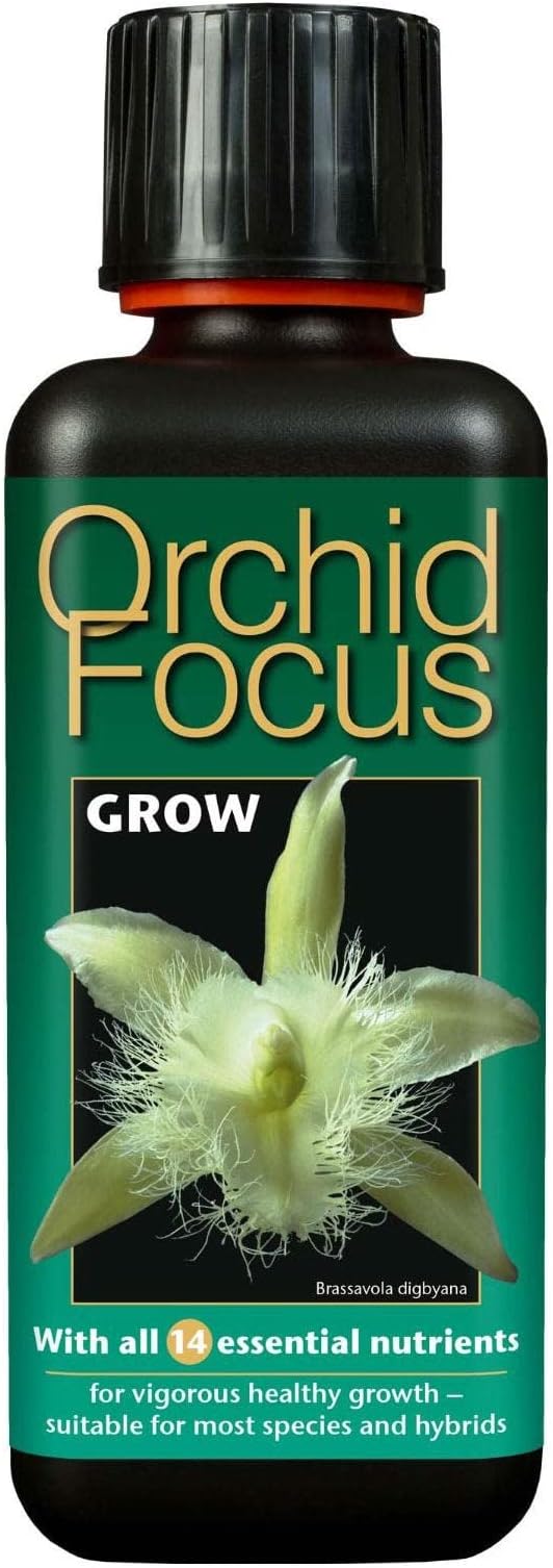 Orchid Focus Grow 300ml