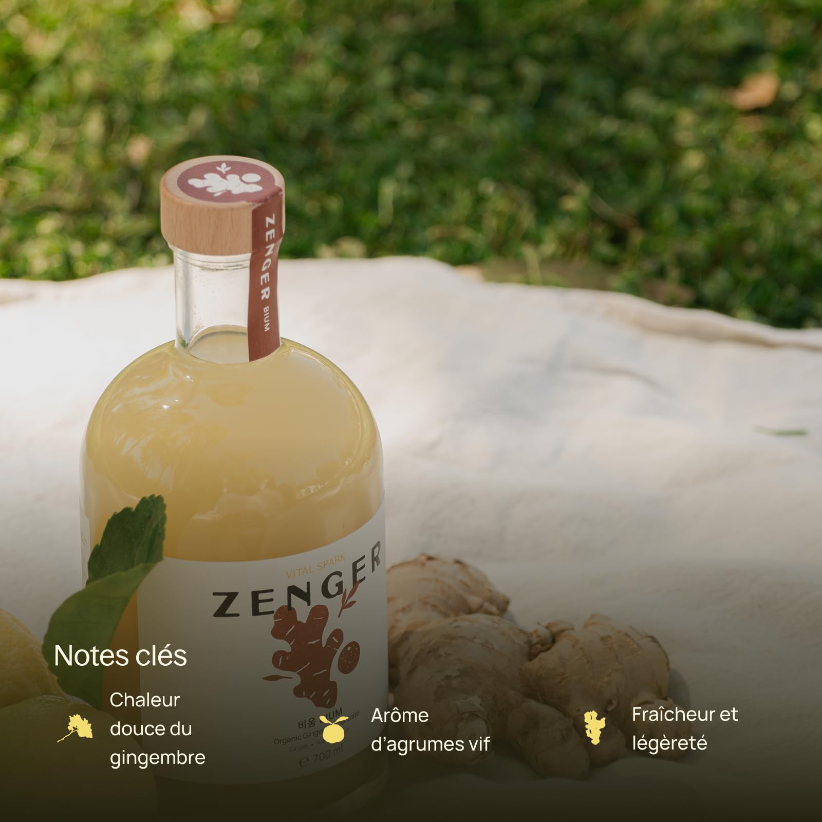 ZENGER – Élixir de Gingembre Bio Premium 700 ml Concentré de Gingembre Naturel | Sans Alcool | Pour Rituels de Thé, Mocktails & Bien-être Quotidien (Vital Spark BIUM)