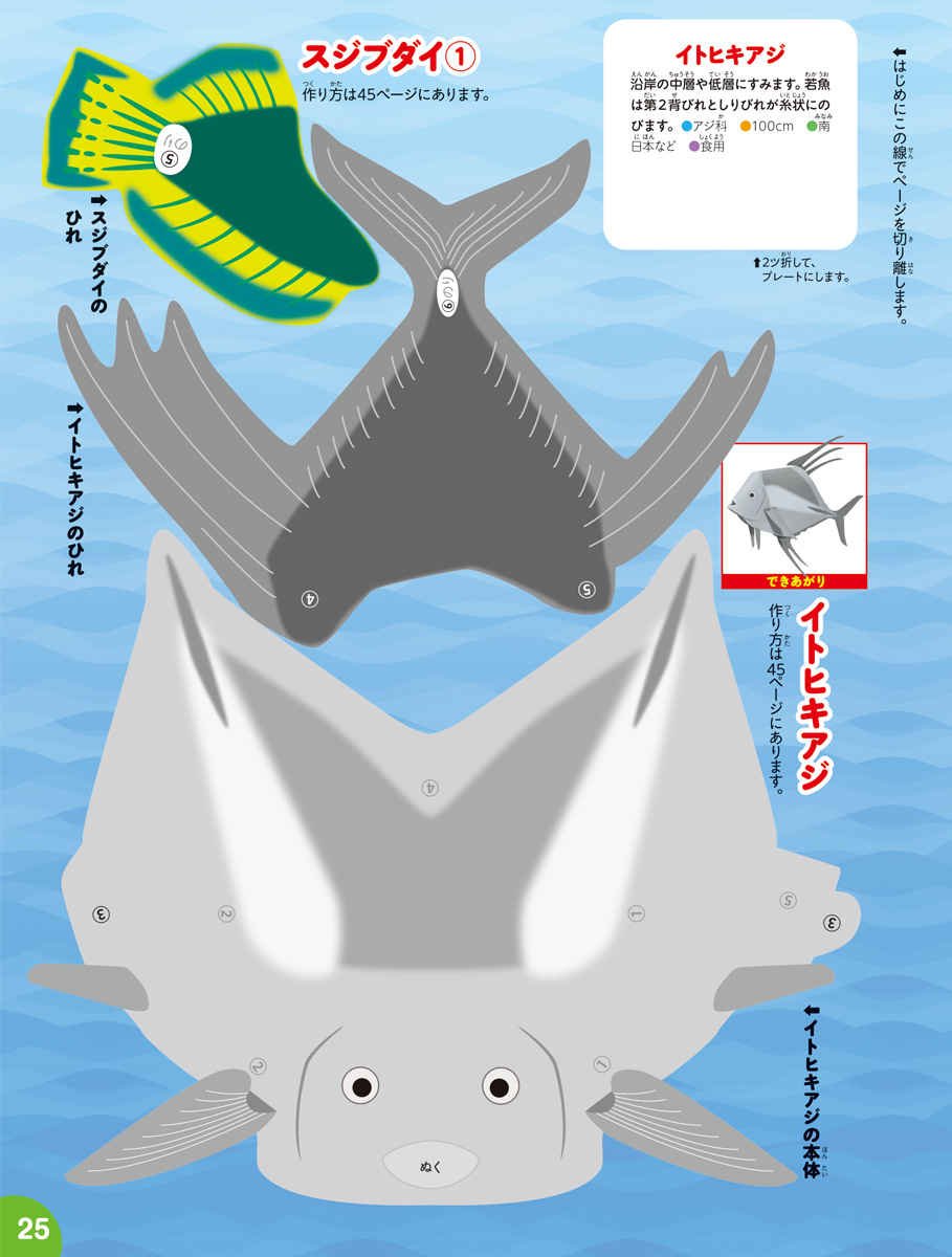 図鑑 & 事典 まとめ売り 20冊セット 小学生 小学館の図鑑NEO 20冊セット 動物 魚 鳥 危険生物 野菜と果物く