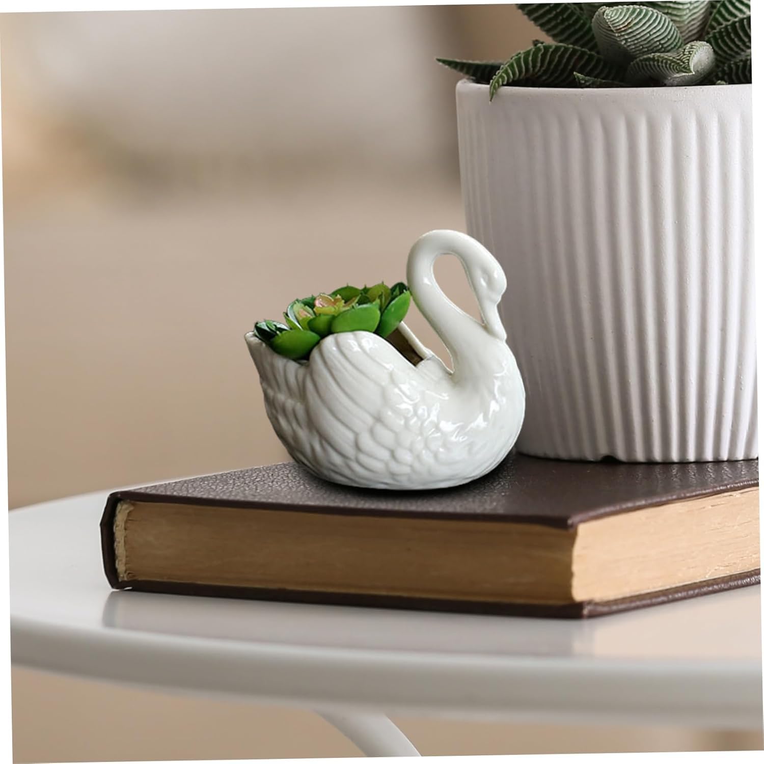 BESPORTBLE 1pezzi Fioriera Ceramica Forma Di Cigno Per Piante Grasse E Bonsai Vaso Decorativo Per Casa E Ufficio Leggero Resistente Adatto Giardino Interni