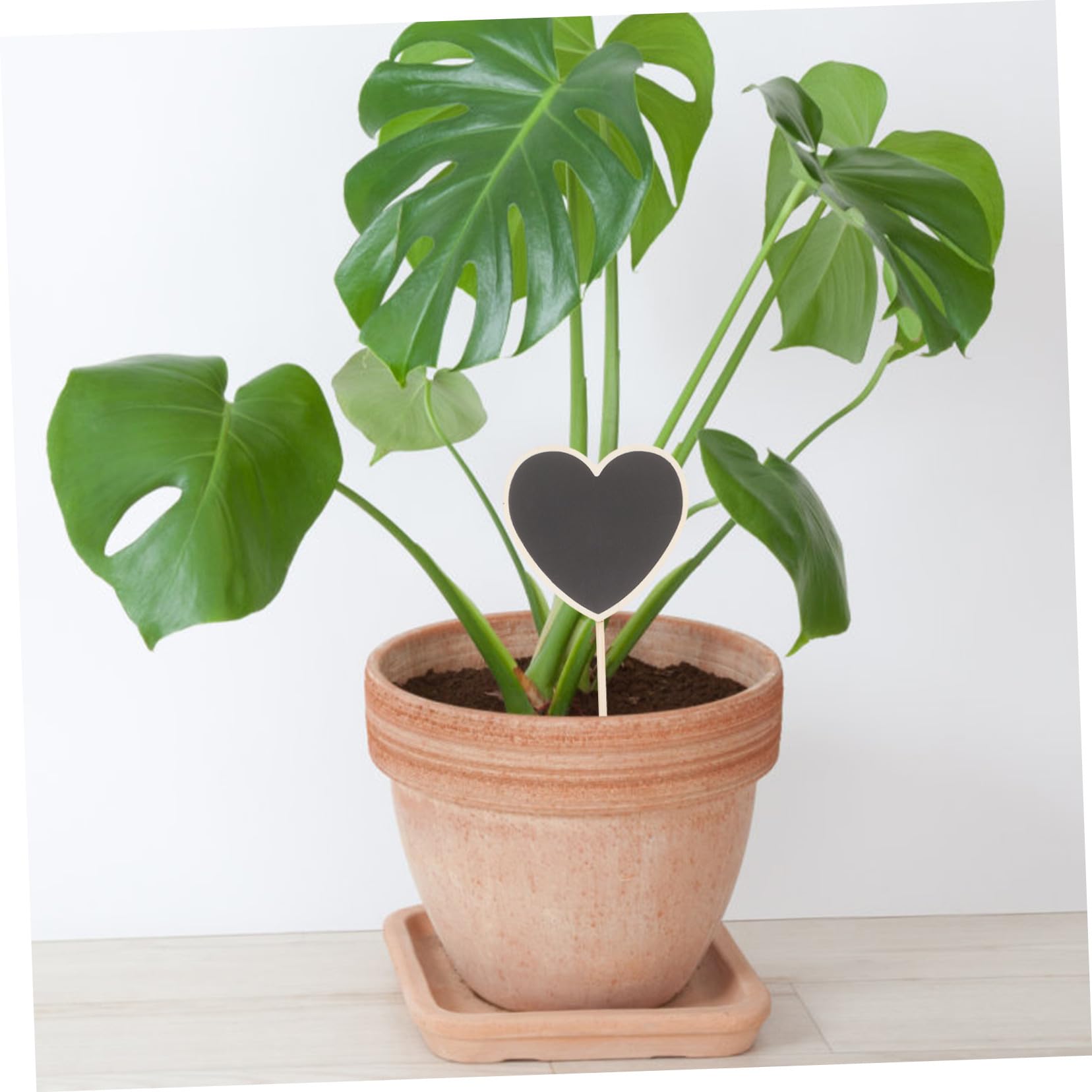 VICASKY 120 Pièces Marqueurs Jardin Forme de Cœur Étiquettes Plantes Durables Piquets Décoratifs pour Classification et Décoration Faciles à Insérer pour Jardiniers et Amateurs de Plantes