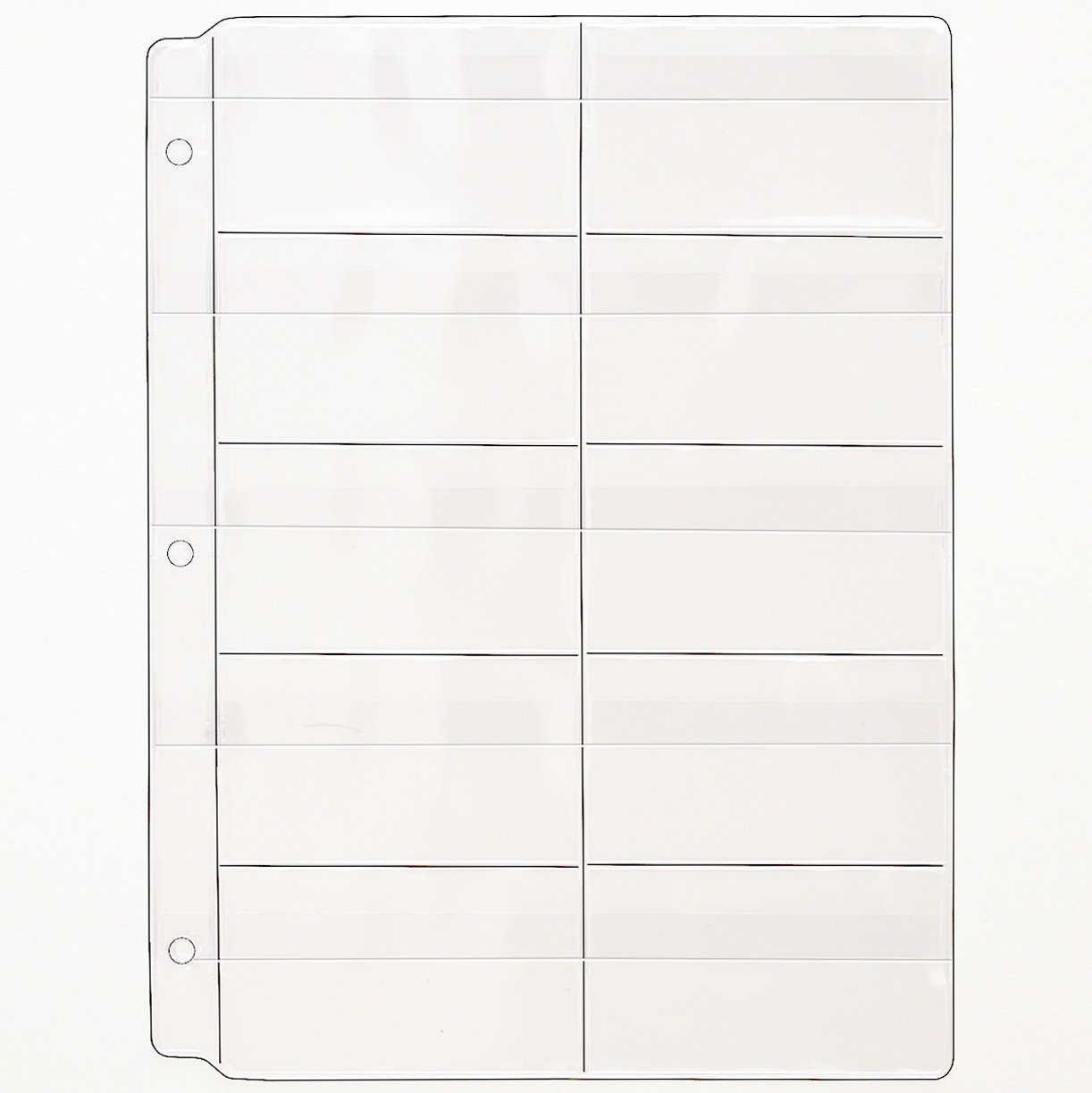StoreSMART – páginas – Tarjetas de memoria (SD) y tarjetas de visita – con solapa – de plástico para carpetas de anillas – paquete de 10 unidades