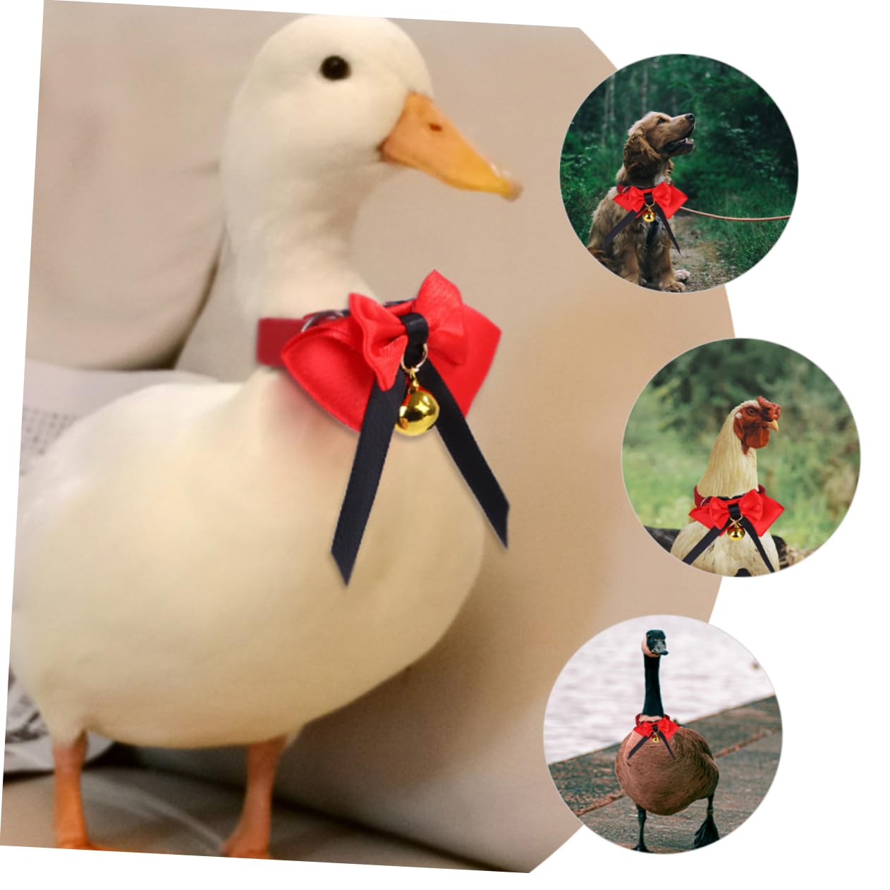 HANABASS Pet Bird Collar Ornament Fashionable Neck Decor Comfortable for Parties Photos Adjustable