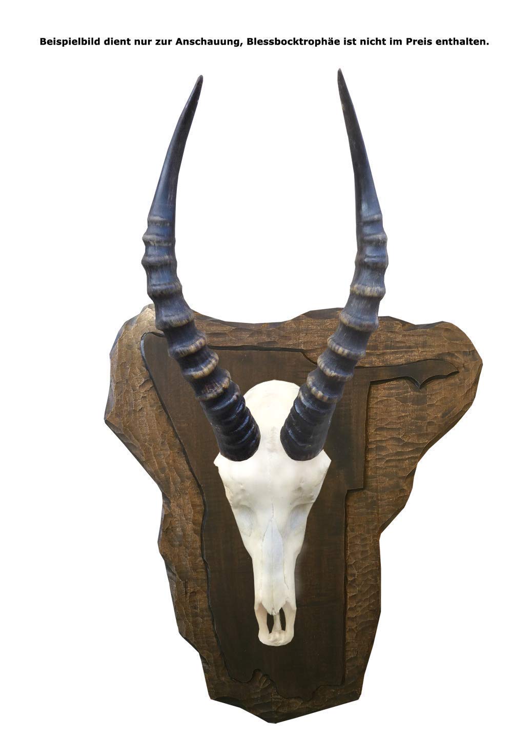 Jagd-Schnitzerei Peter Trophäenschild Trophäenbrett Namibia, handgeschnitzt 11 Größen