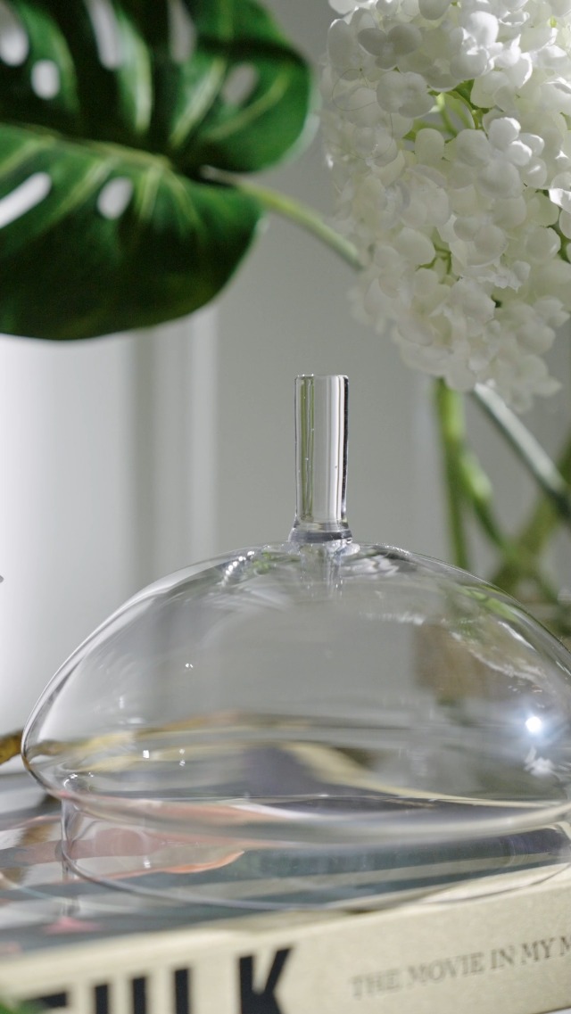 Amazon.com: Z Gallerie Jules Glass Cloche, Hand-Blown Glasses