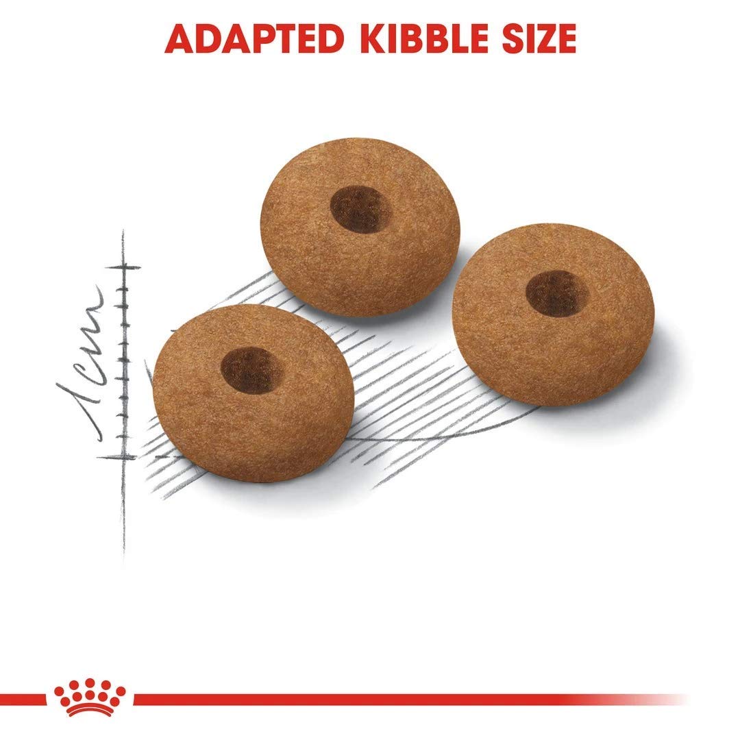 Royal Canin Feline Sterilised +7 Appetite Control, 1er Pack (1 x 3,5 kg) | 1er Pack