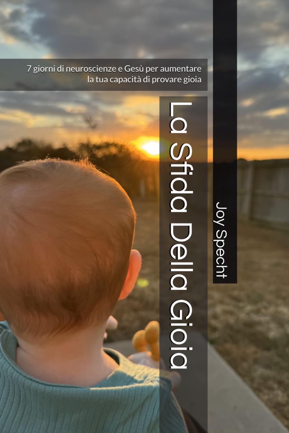 La Sfida Della Gioia: 7 giorni di neuroscienze e Gesù per aumentare la tua capacità di provare gioia