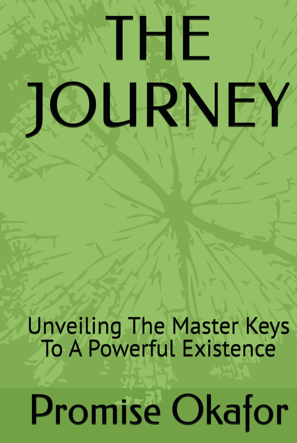 The Journey: Unveiling The Master Keys To A Powerful Existence