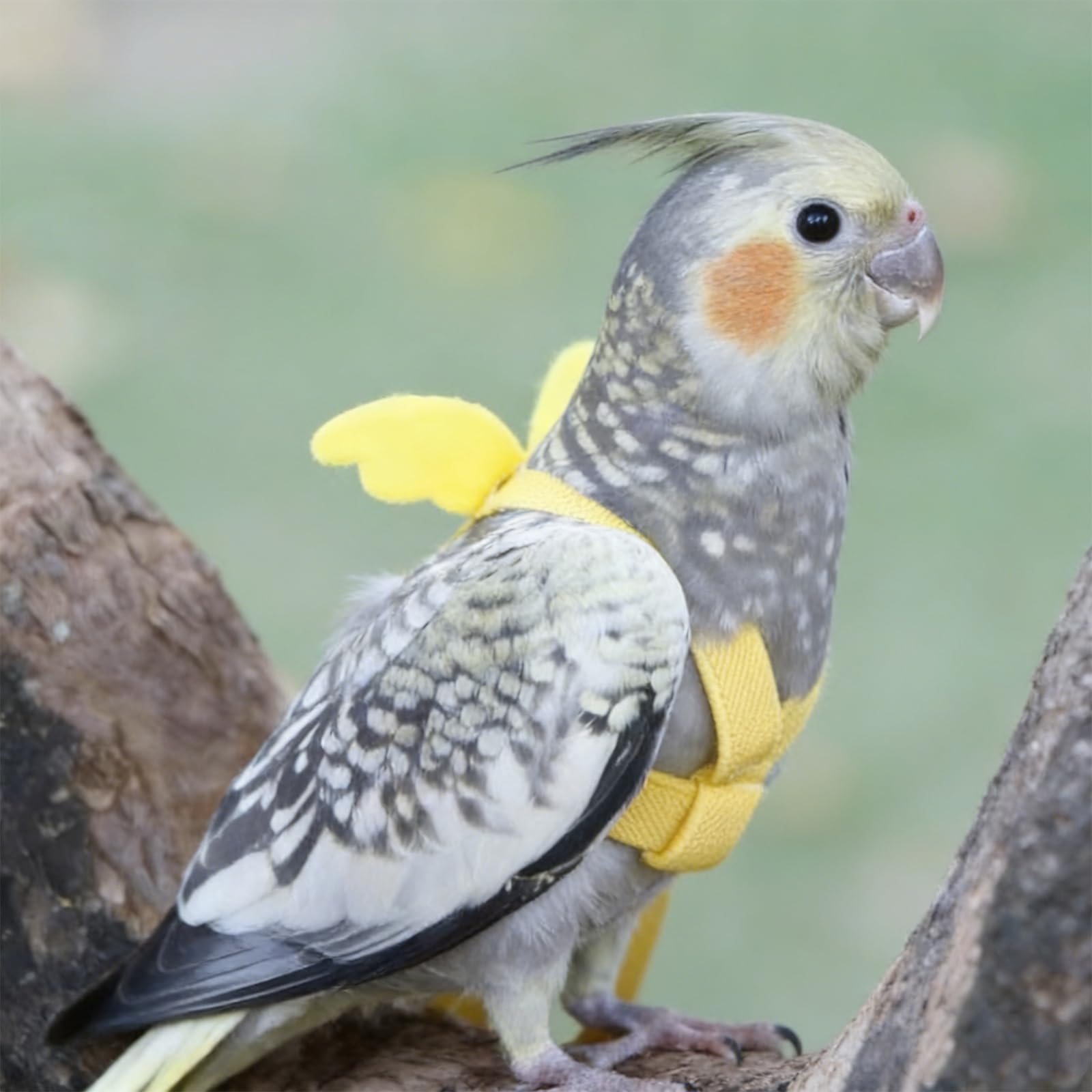 Arnés para Loros Correa Ajustable para pájaros de compañía Correa elástica antimordeduras para Loros cacatúas guacamayos — view 4