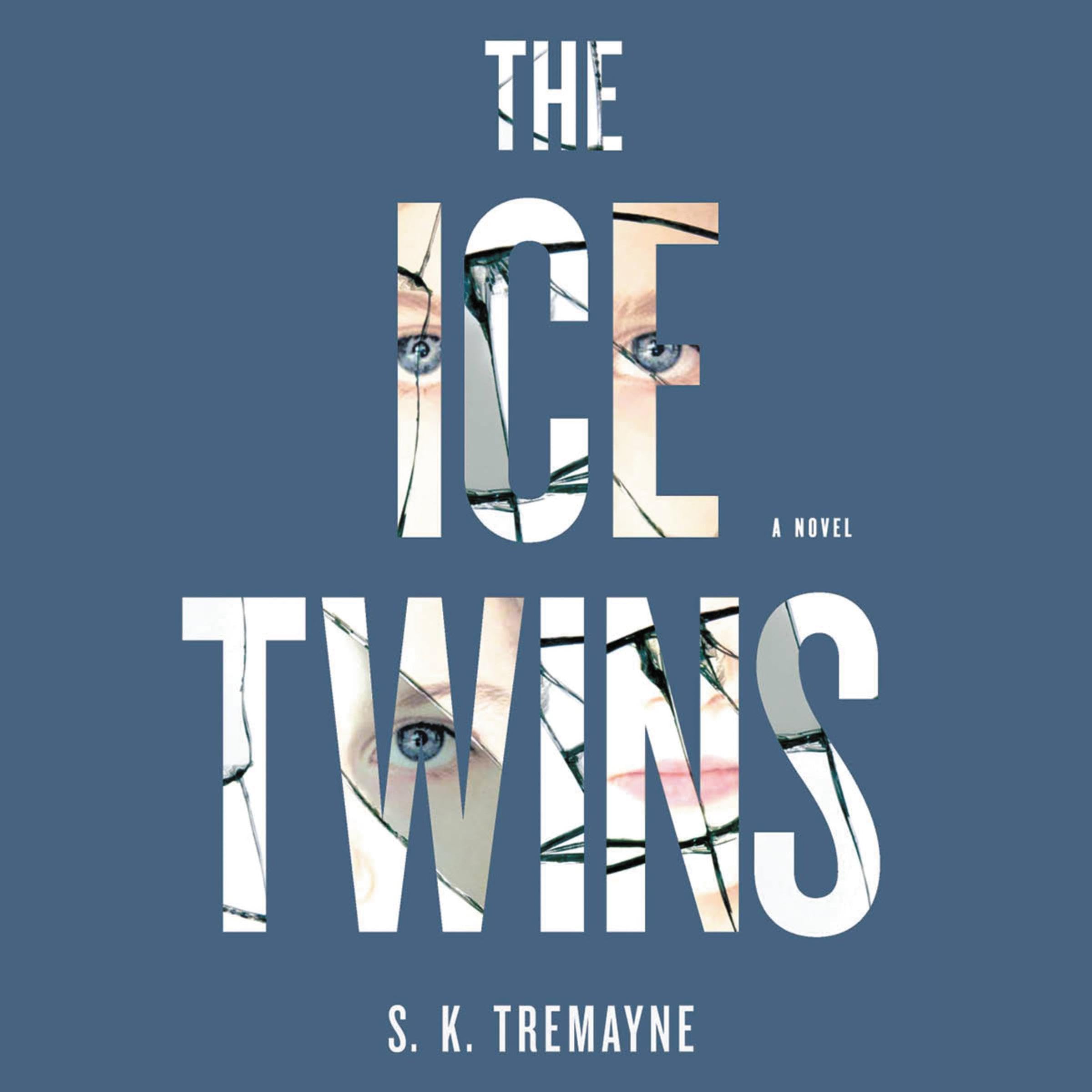 Cover art for The Ice Twins
