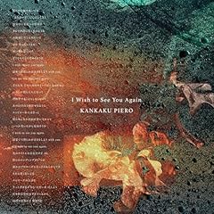 I Wish to See You Again / ���o�s�G��