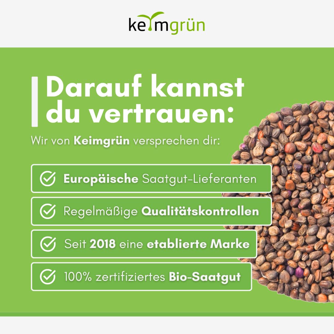 Bio Radieschen rot Samen - Sprossensamen für Sprossenglas oder Microgreens, Plastikfreie Verpackung, Regional Abgefüllt in Deutschland, Wähle zwischen 250g, 500g und 750g