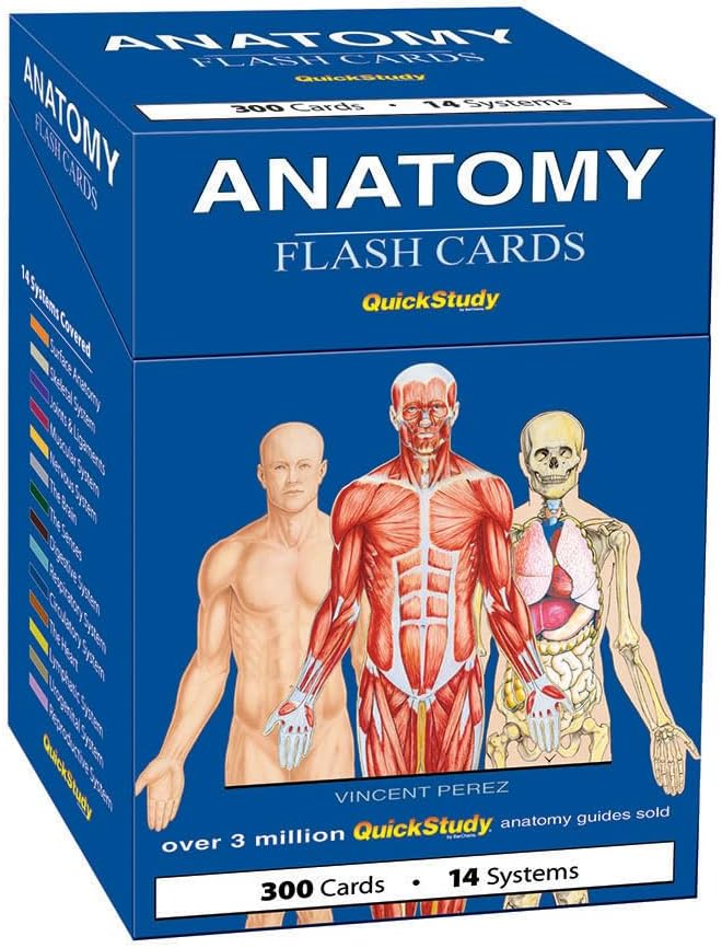 Anatomy Flash Cards: a QuickStudy Reference Tool Cards – June 13, 2008