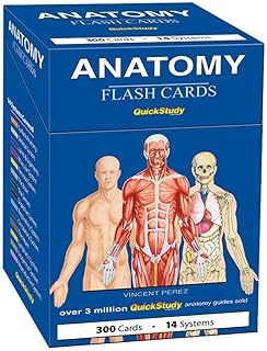 Anatomy Flash Cards: a QuickStudy reference tool