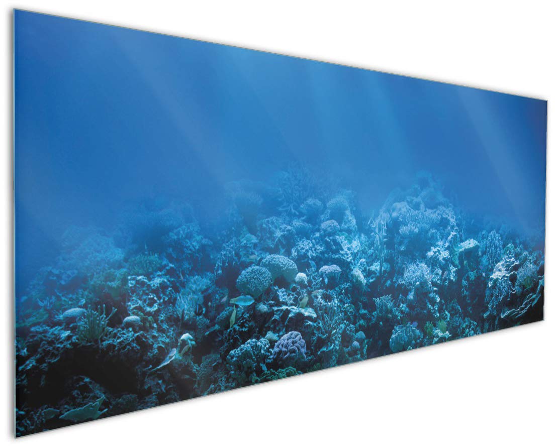 Wallario Küchenrückwand Aus Glas 125x50 Cm – Motiv Hundewelpen & Katzenjunge, Pflegeleichter Spritzschutz