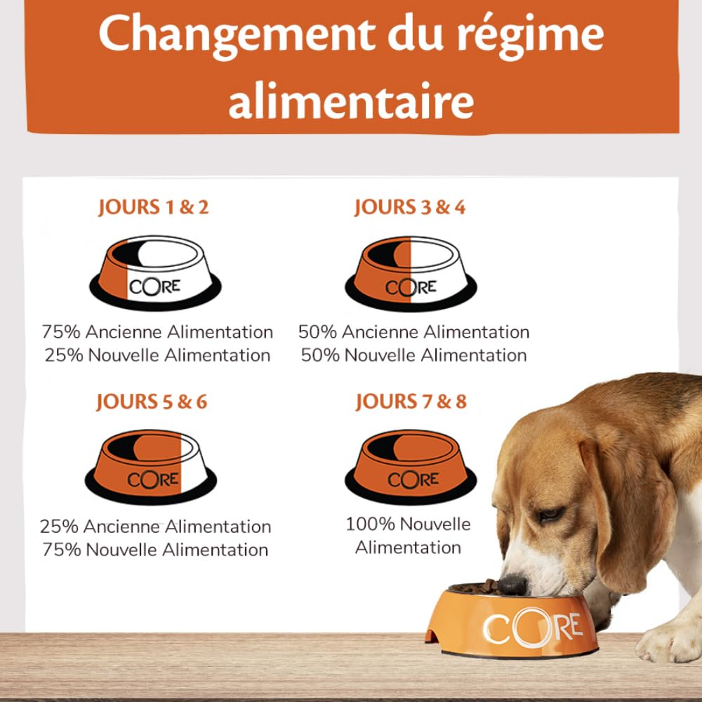 Wellness CORE 95% 6 x 400g, Agneau/Potiron – Pâtée pour Chiens Adultes, sans Céréales, Naturelles, Hypoallergénique, Riche en protéines, À Haute Teneur en Viande,