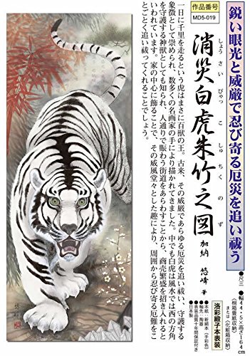 Amazon.co.jp: 掛け軸-消災白虎朱竹之図／加納悠峰（尺三・桐箱
