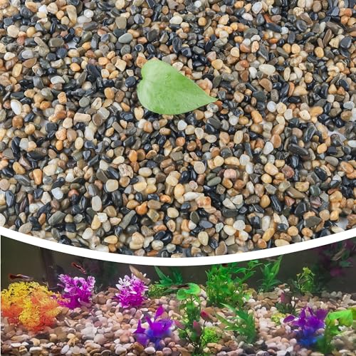 Image of CJGQ 18lb 1 /4 /'' Polished Pebbles for Plants Potting,Succulents Aquarium Fish Tank Vases-Decorative River Rocks Garden Gravel Stones