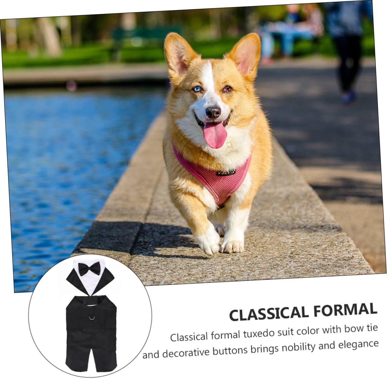Housoutil 3pezzi Camicia Per Cani Cotone Con Cravatta Tuxedo Elegante Per Matrimoni e Occasioni Speciali Abbigliamento Alla Moda Per Pet Fashion e Cosplay