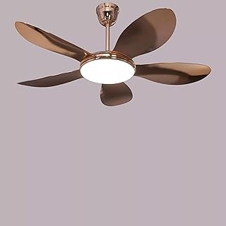 Aera Avant-14 Golden Ceiling Fan with Remote Control | Noiseless 45W AC Motor | 70W LED Light | 5 ABS Fan Blades | Premium...