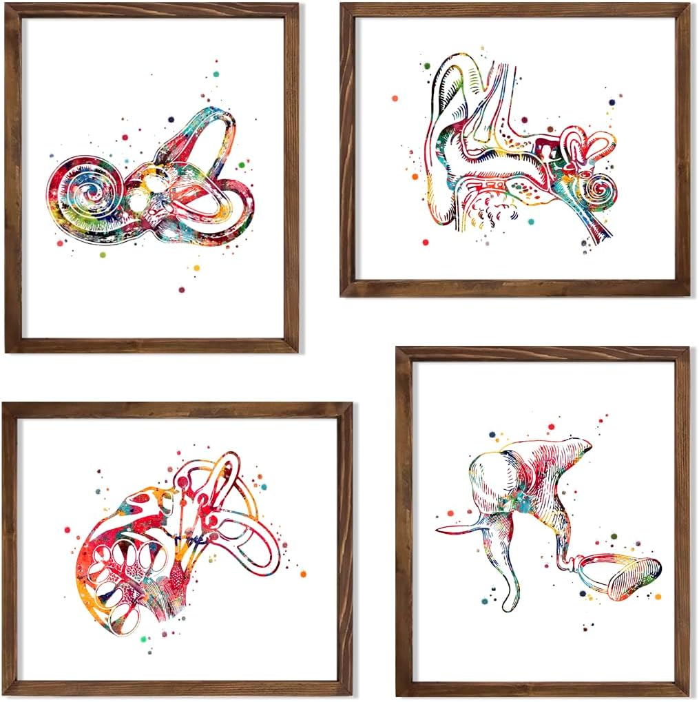 Watercolor Audiology Anatomy Illustration Art Print Set Featuring Cross Section Diagram for Audiology Office Decor, Otolaryngology Clinic Hearing Therapy Room Home Study Lab Wall Art, Med Student Audiologist Technician Nurse Doctor Graduation Gifts - 8x10 Unframed Print Set