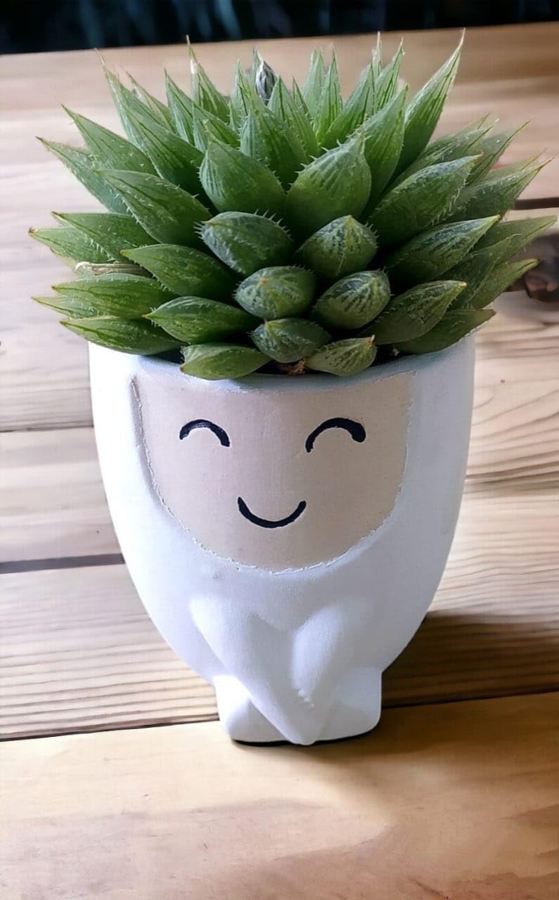 See full amazon price history chart for Cute Face/Smiley/Doll Matt Finish Ceramic Pot/Planter for Succulents, Home, Garden, Office Cute Face/Smiley/Doll Matt Finish Ceramic Pot/Planter for Succulents, Home, Garden, Office (B0CXTC5BJD) Amazon Price History, Amazon Price Tracker