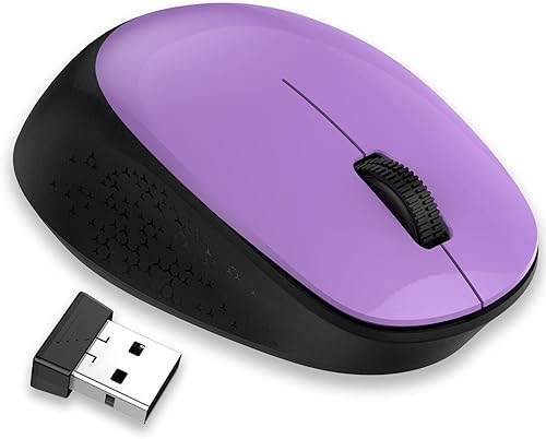 LeadsaiL Ratón inalámbrico para portátil 2.4G silencioso inalámbrico USB Ratón óptico delgado inalámbrico para computadora, 3 botones, 1600 DPI para