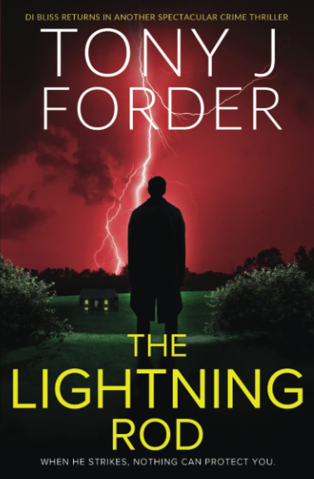 The Lightning Rod (The DI Jimmy Bliss Crime Series)